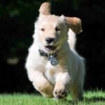 lv国际官网的产品分类,轻松找到你的心仪款式 0fc68