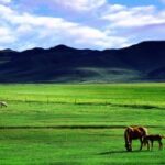 lv国际官网:LV品牌与可持续发展的新探索 iiqk7h